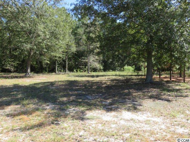17780 Pee Dee Road North Galivants Ferry, SC 29544 - Photo 13 of 14 Gallery Image 13