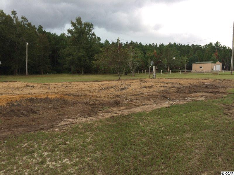 17780 Pee Dee Road North Galivants Ferry, SC 29544 - Photo 3 of 14 Gallery Image 3