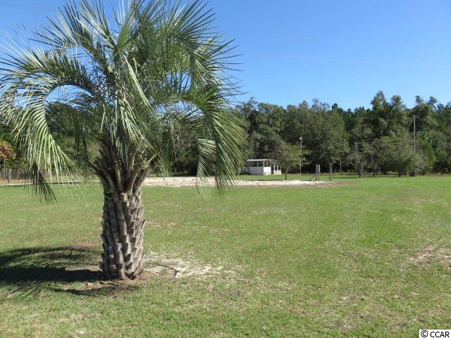 17780 Pee Dee Road North Galivants Ferry, SC 29544 - Photo 4 of 14 Gallery Image 4