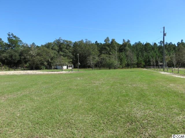 17780 Pee Dee Road North Galivants Ferry, SC 29544 - Photo 6 of 14 Gallery Image 6