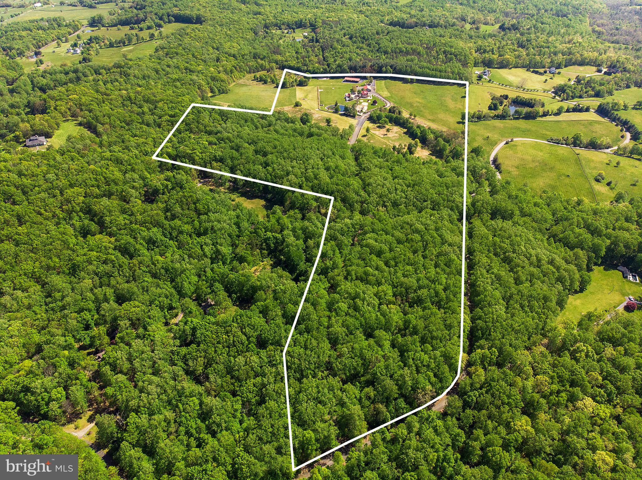 10599 Warland Road Marshall, VA 20115 - Photo 3 of 125 Gallery Image 3