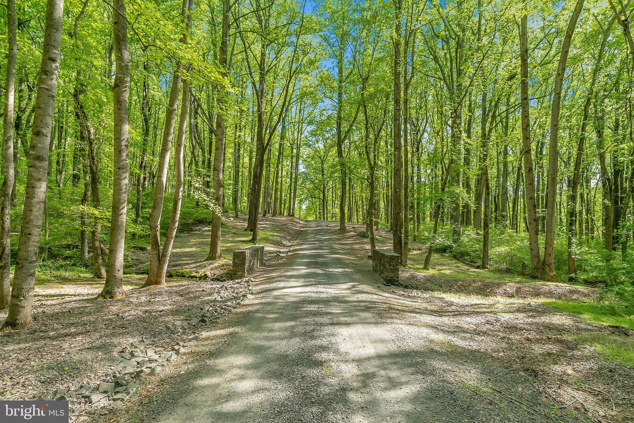10599 Warland Road Marshall, VA 20115 - Photo 78 of 125 Gallery Image 78