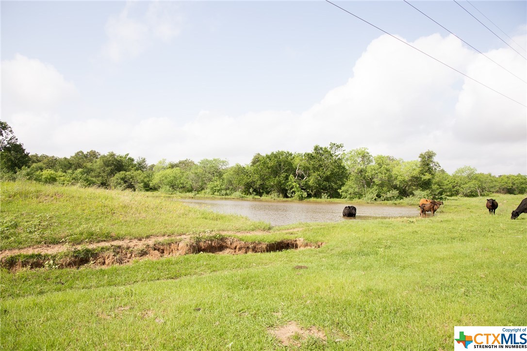 0 County Road Harwood, TX 78632 - Photo 1 of 1 Gallery Image 1