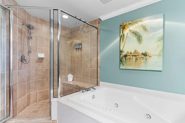 a bathroom with a bathtub and a shower