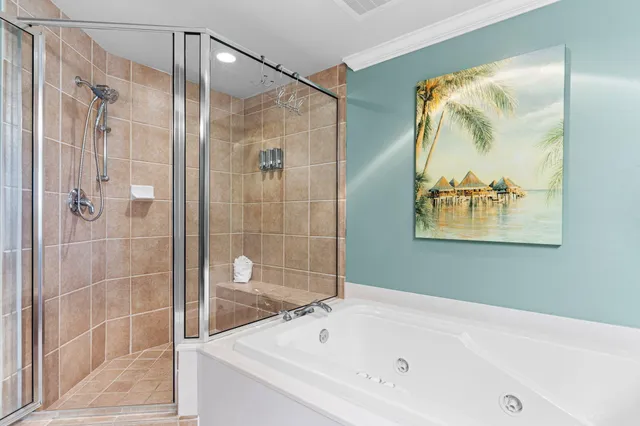 a bathroom with a bathtub and a shower