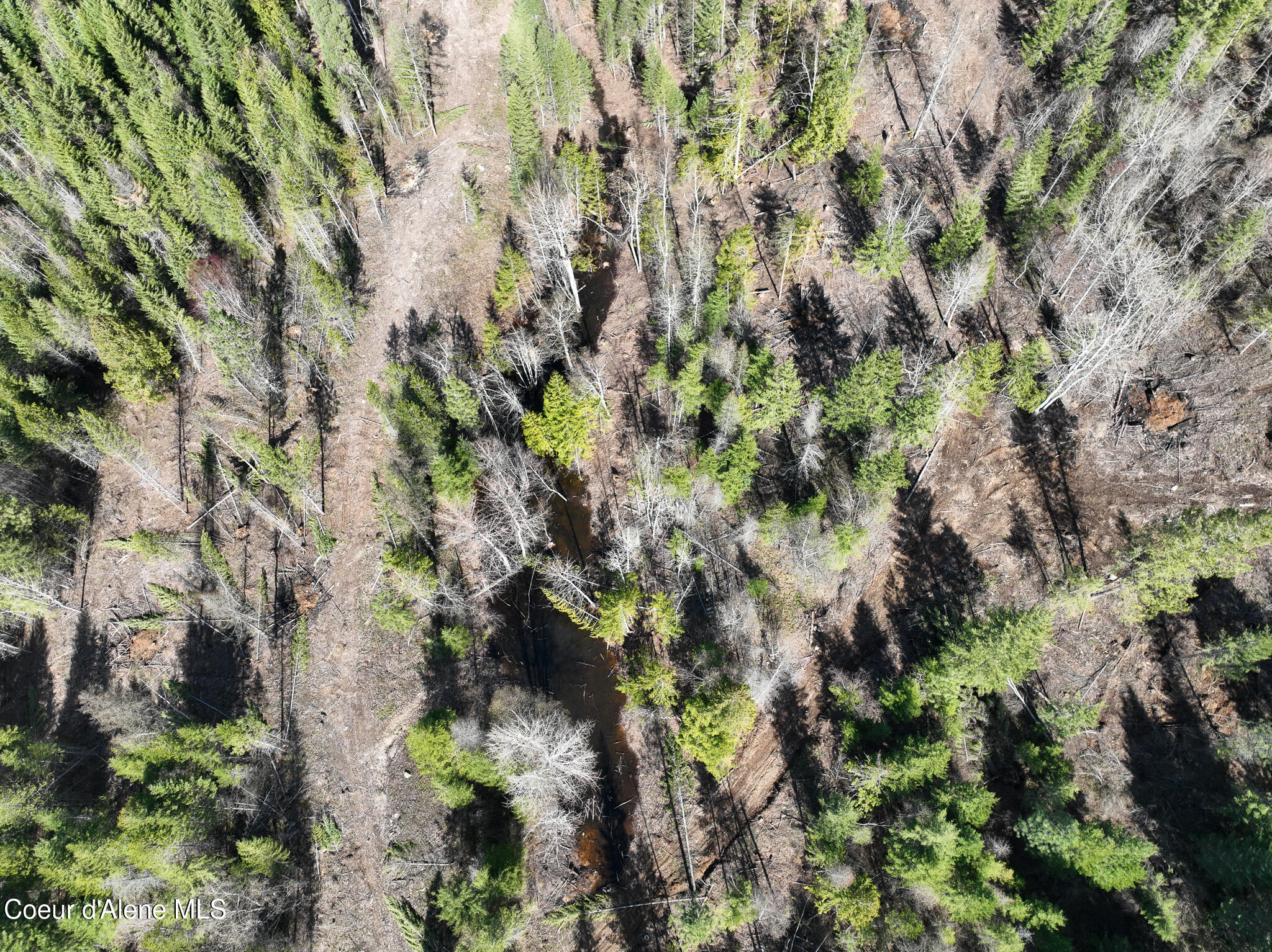 Nna Bottle Brand Road Hope, ID 83836 - Photo 14 of 38 DJI_0143