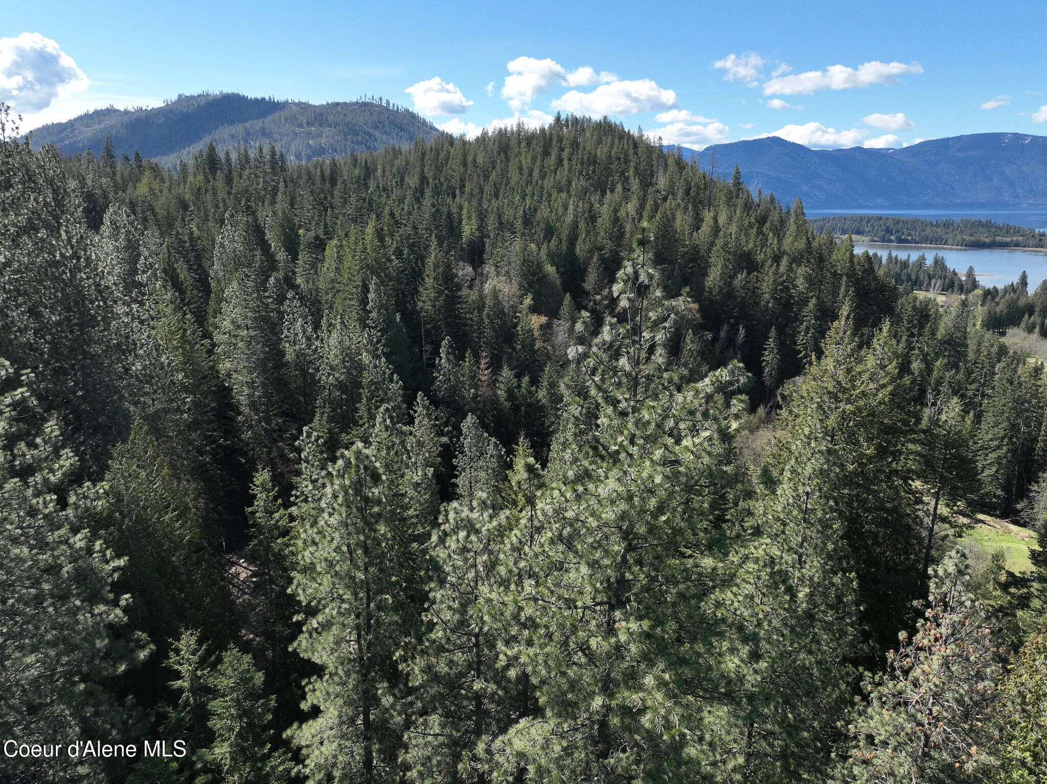 Nna Bottle Brand Road Hope, ID 83836 - Photo 27 of 38 DJI_0157