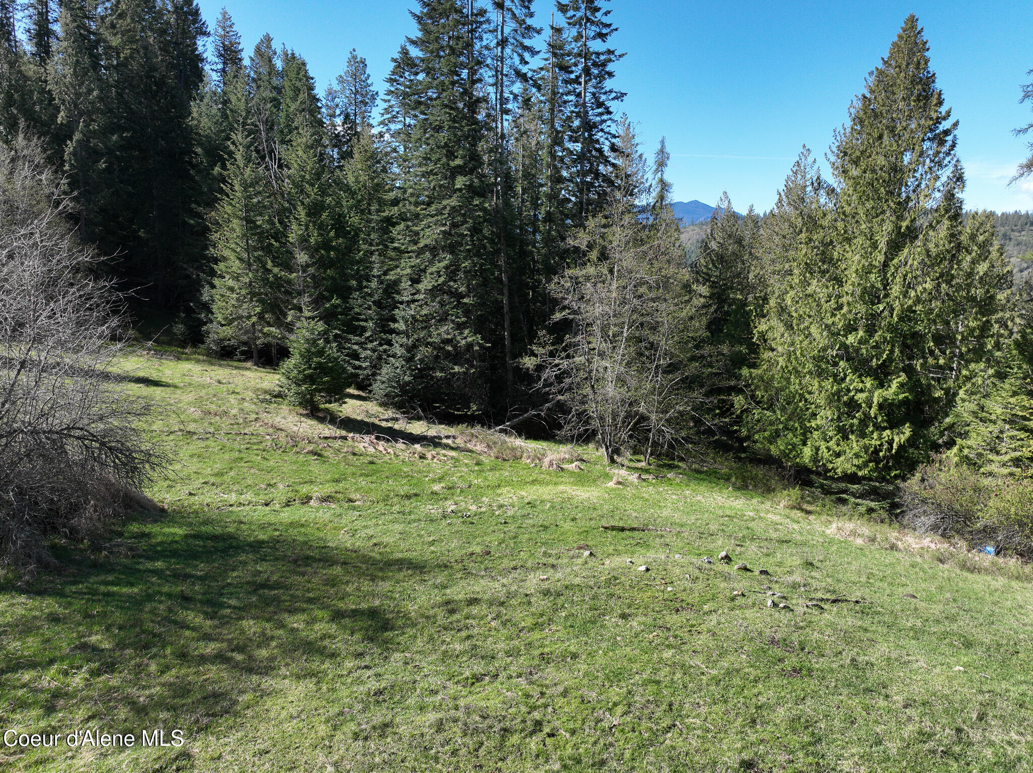 Nna Bottle Brand Road Hope, ID 83836 - Photo 4 of 38 DJI_0170