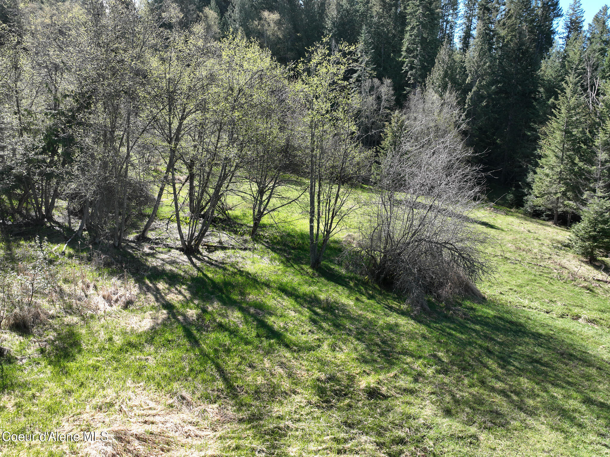 Nna Bottle Brand Road Hope, ID 83836 - Photo 6 of 38 DJI_0169