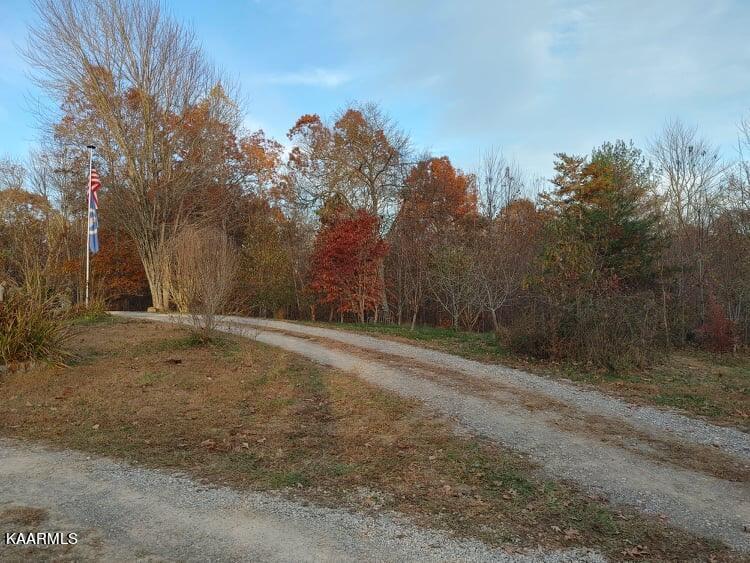 285 Scott Wyatt Road Deer Lodge, TN 37726 - Photo 5 of 34 377B5C1F-35DC-49DD-B995-BF3E81107C46