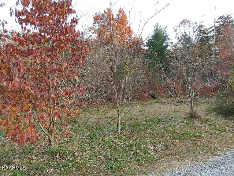 285 Scott Wyatt Road Deer Lodge, TN 37726 - Photo 7 of 34 8B477C64-B2B3-413F-97D1-08104FD7EC94