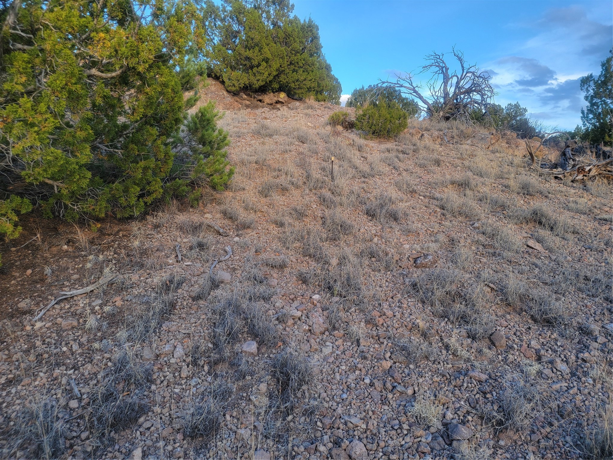 218 Horny Toad Road Cerrillos, NM 87010 - Photo 14 of 16