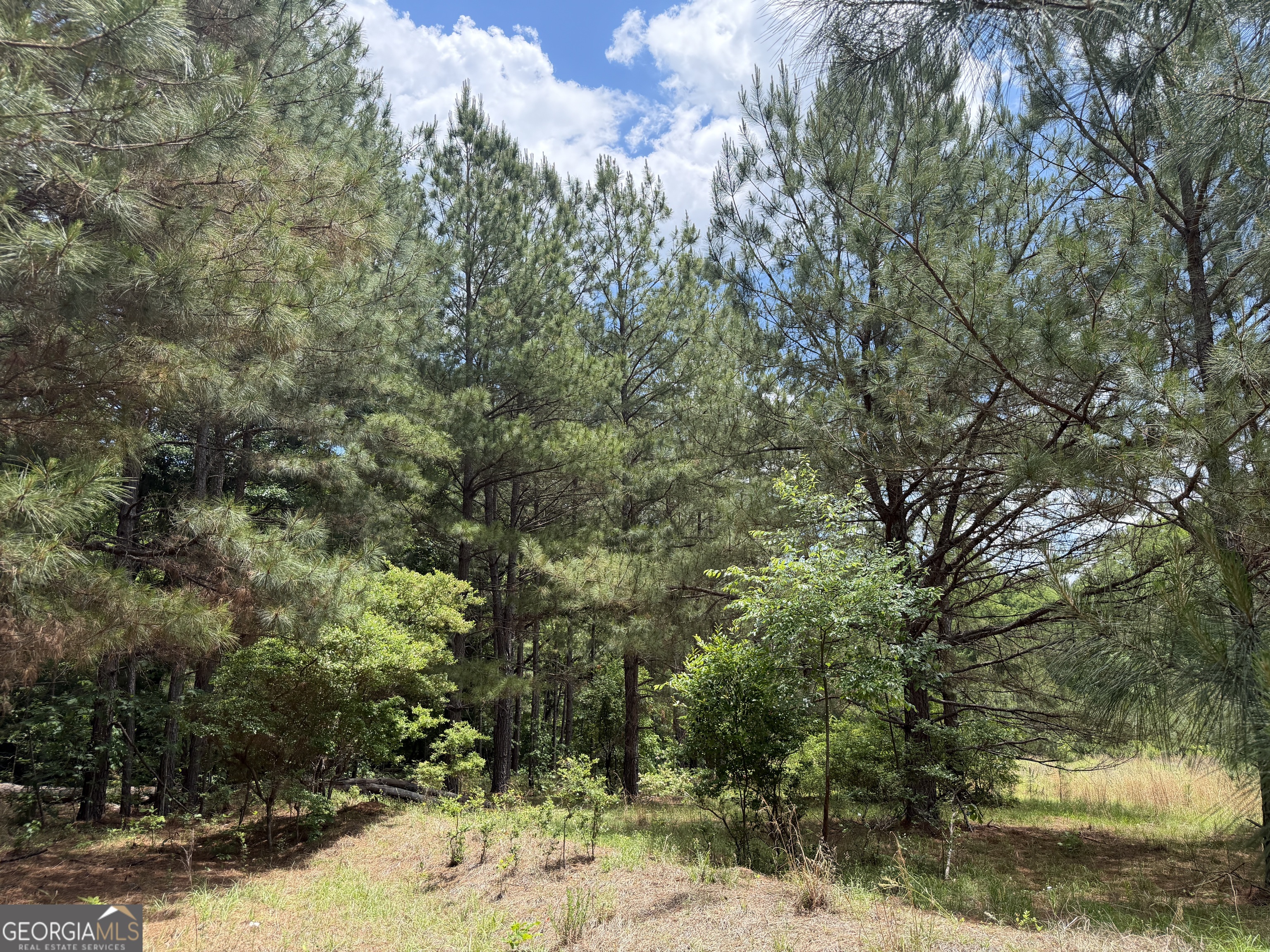 7 Long Branch Road Toomsboro, GA 31090 - Photo 4 of 11 a view of a yard with a tree