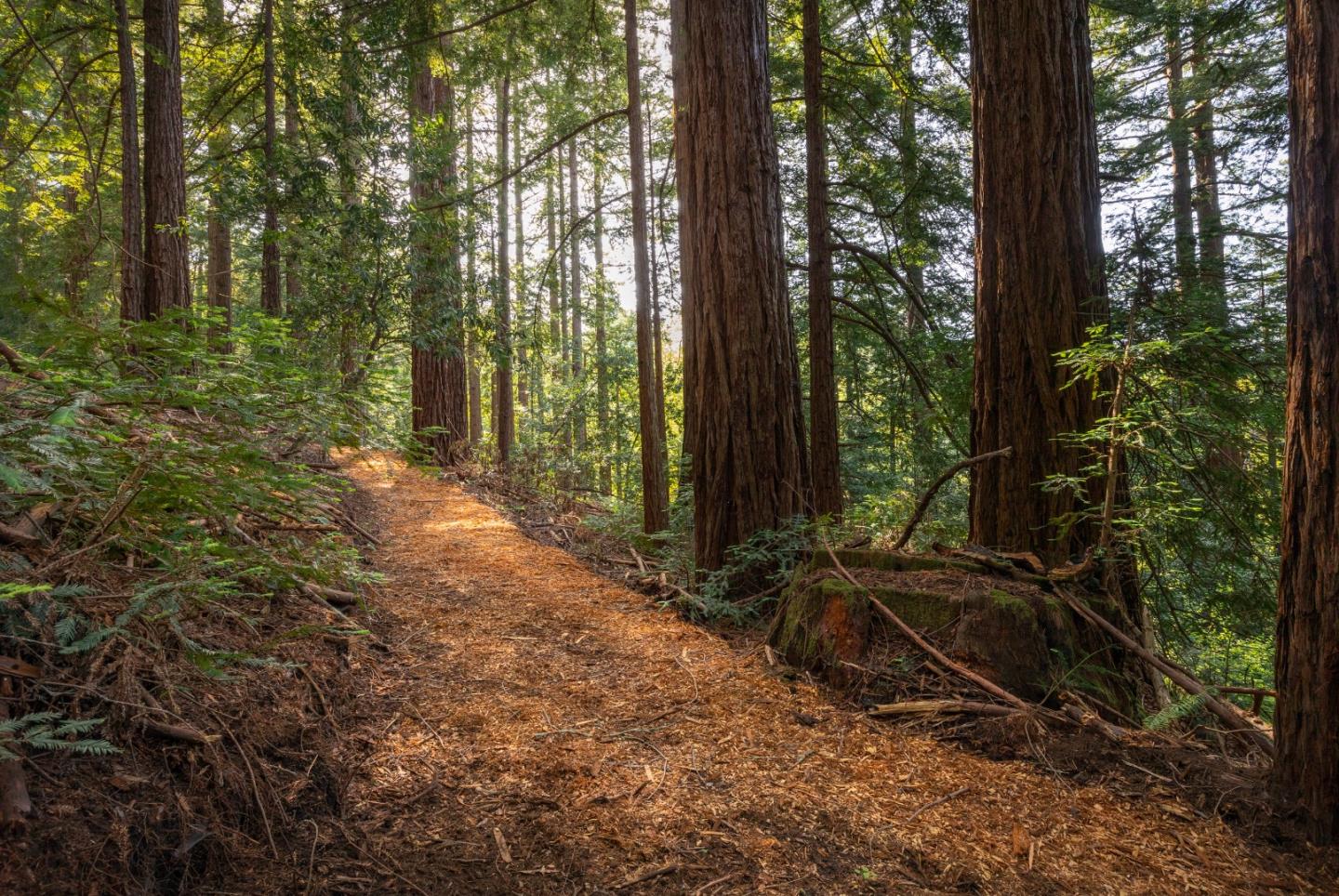 0 Ponza Soquel, CA 95073 - Photo 11 of 29