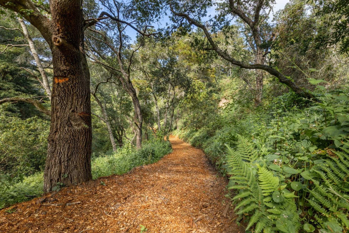 0 Ponza Soquel, CA 95073 - Photo 16 of 29