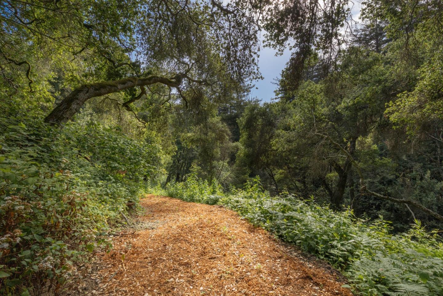 0 Ponza Soquel, CA 95073 - Photo 17 of 29