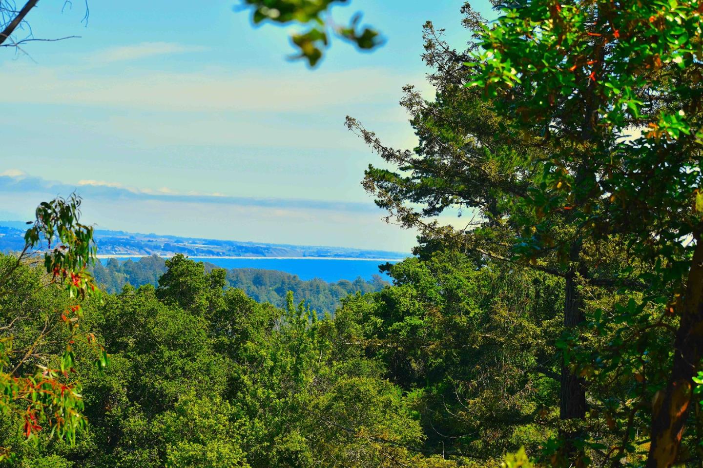 0 Ponza Soquel, CA 95073 - Photo 2 of 29