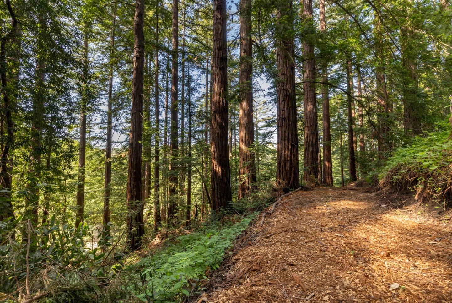 0 Ponza Soquel, CA 95073 - Photo 9 of 29