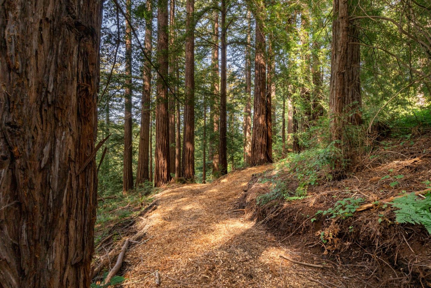 0 Ponza Soquel, CA 95073 - Photo 10 of 29