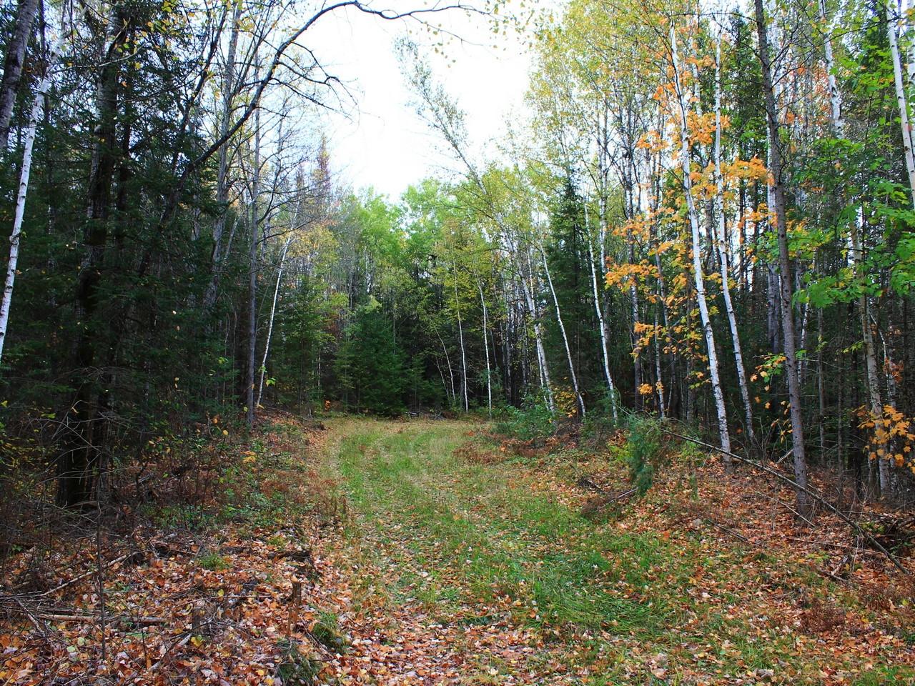 Three Ten Road Mercer, WI 54547 - Photo 17 of 71 Gallery Image 17