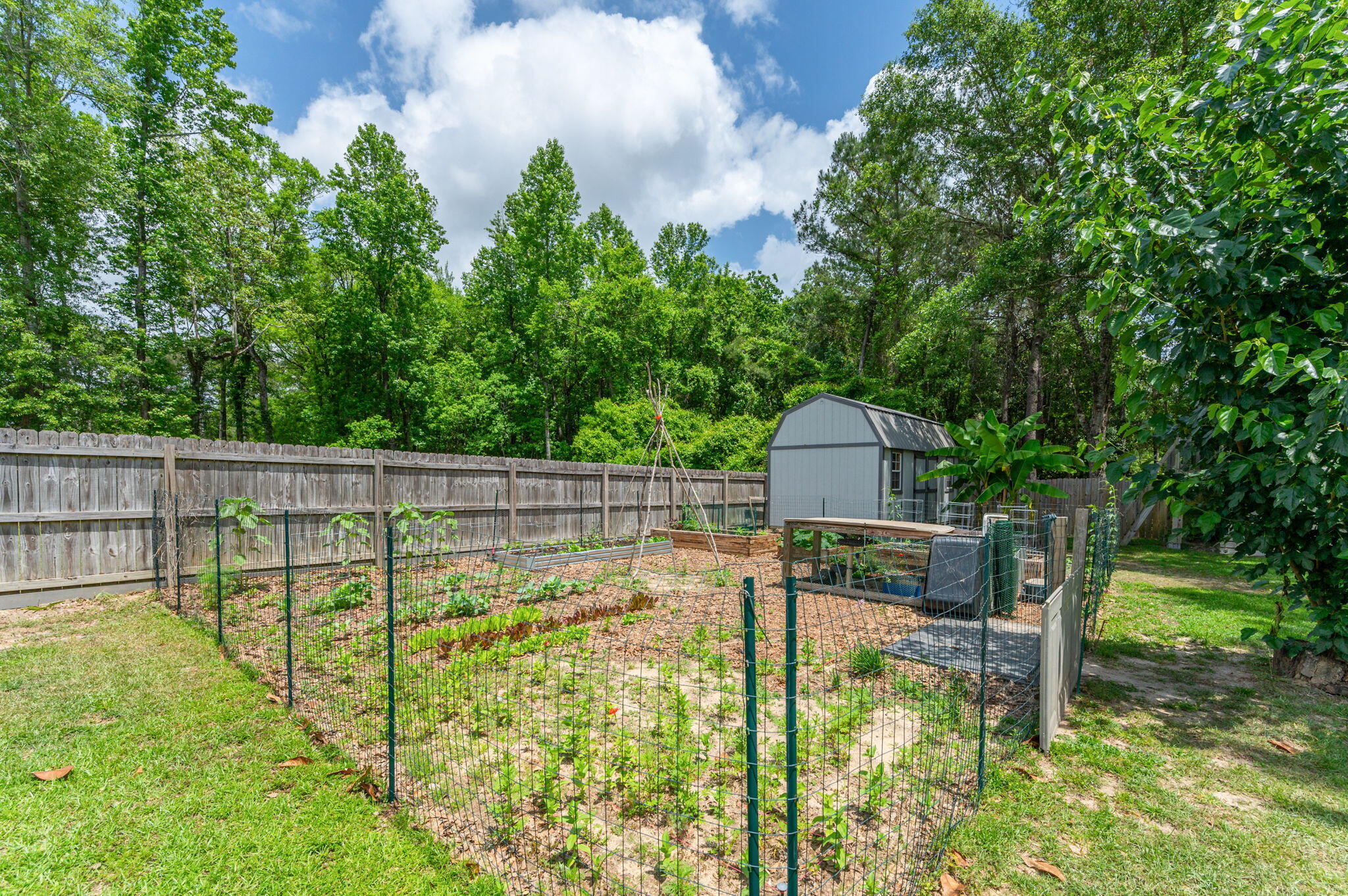 5952 Wind Trace Road Crestview, FL 32536 - Photo 11 of 69 64-web-or-mls-5952 Wind Trace Rd Exterio