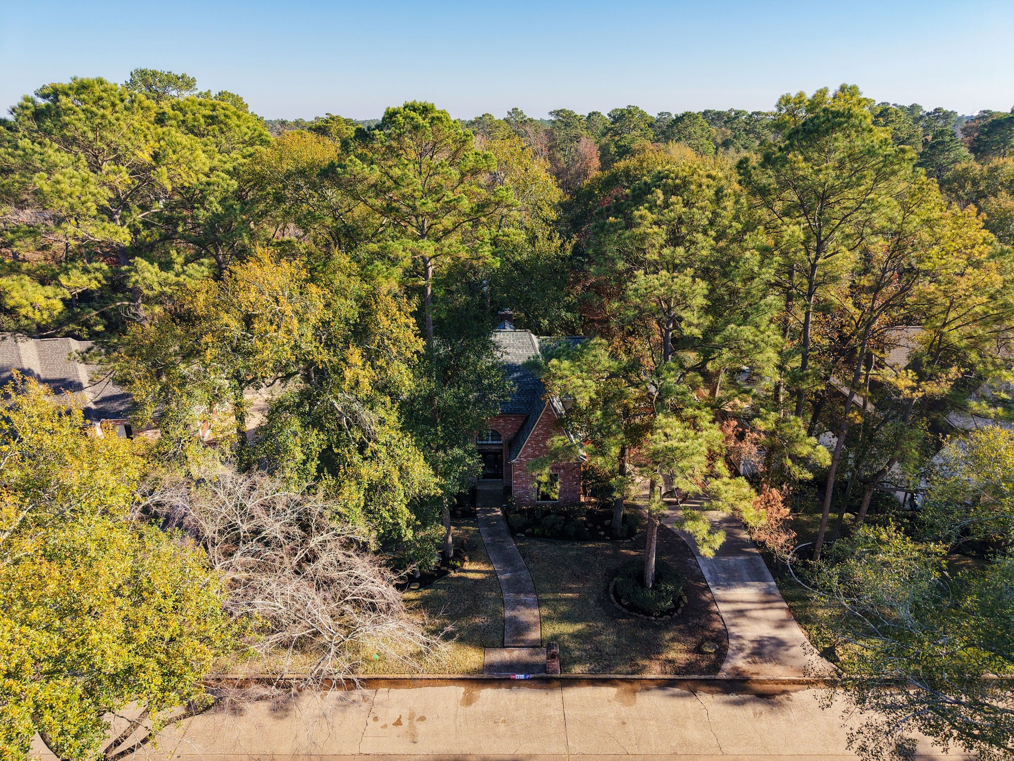 9311 Windrush Drive Spring, TX 77379 - Photo 44 of 50 Part of the charm of area is so many wonderful trees!
