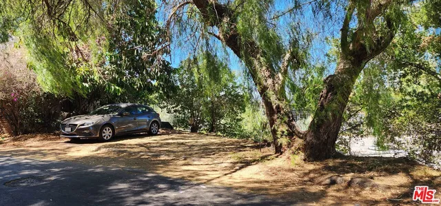 a view of a yard with large trees