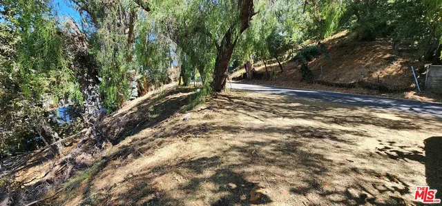 a view of a yard with trees