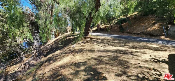 a view of a yard with trees
