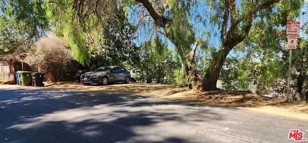 a road view with large trees