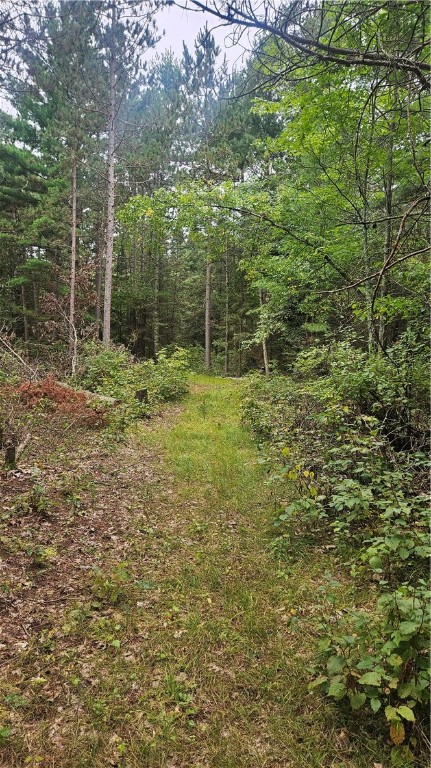 Lot 1 Hazelnut Lane Hayward, WI 54843 - Photo 1 of 4
