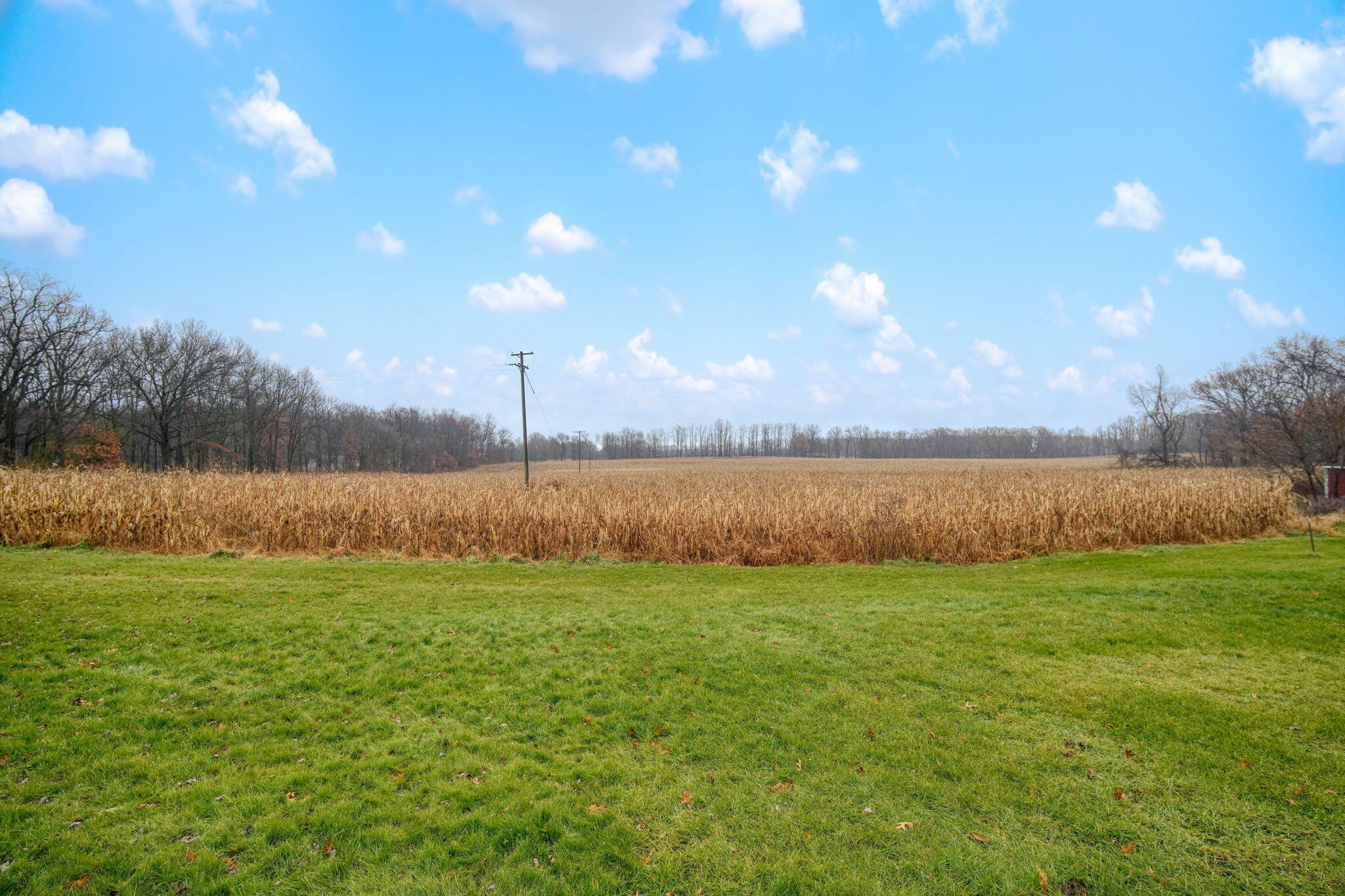 7249 Fowler Road Horton, MI 49246 - Photo 51 of 54 51