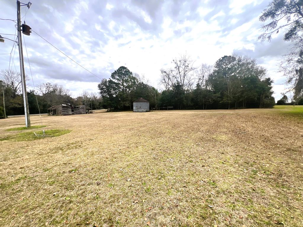 3.97-acr Beaty Road Pavo, GA 31778 - Photo 15 of 37 Gallery Image 15