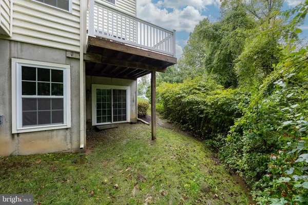 a view of a backyard with plants and large tree