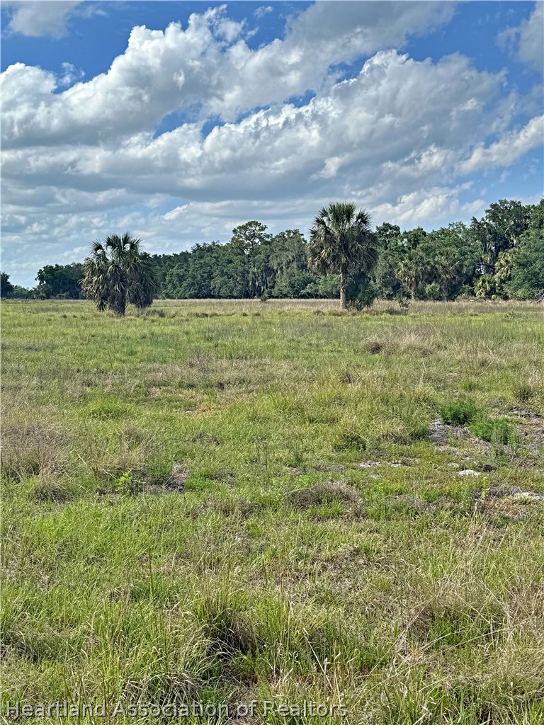 Colin Poucher Road Zolfo Springs, FL 33890 - Photo 4 of 6 a view of a field with an trees