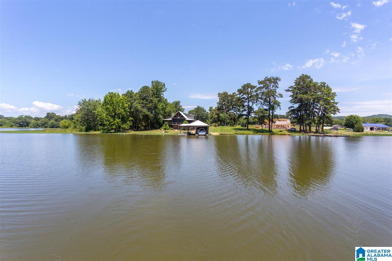 10350 Greensport Road Ashville, AL 35953 - Photo 2 of 50