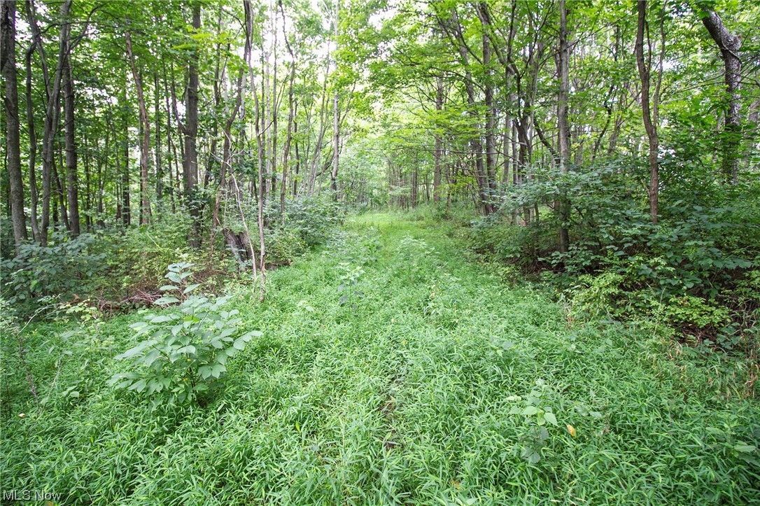 Union Hill Road Kimbolton, OH 43749 - Photo 10 of 24 View of mother earth's splendor