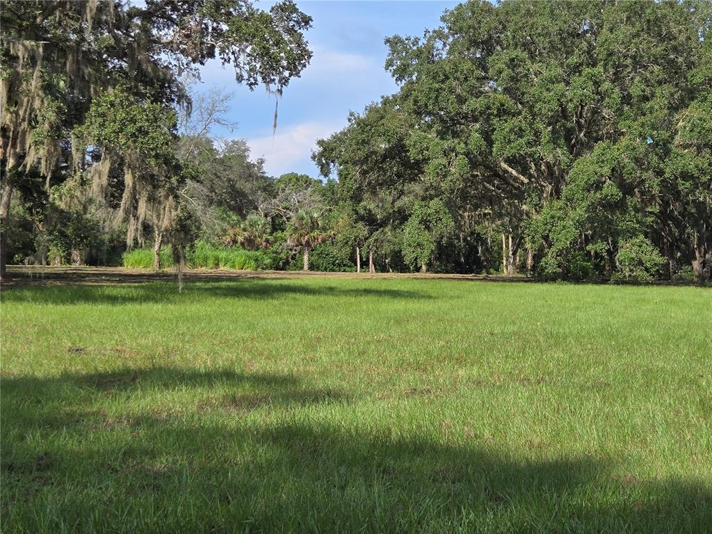 Crystal Lane Umatilla, FL 32784 - Photo 11 of 18 a view of a grassy field