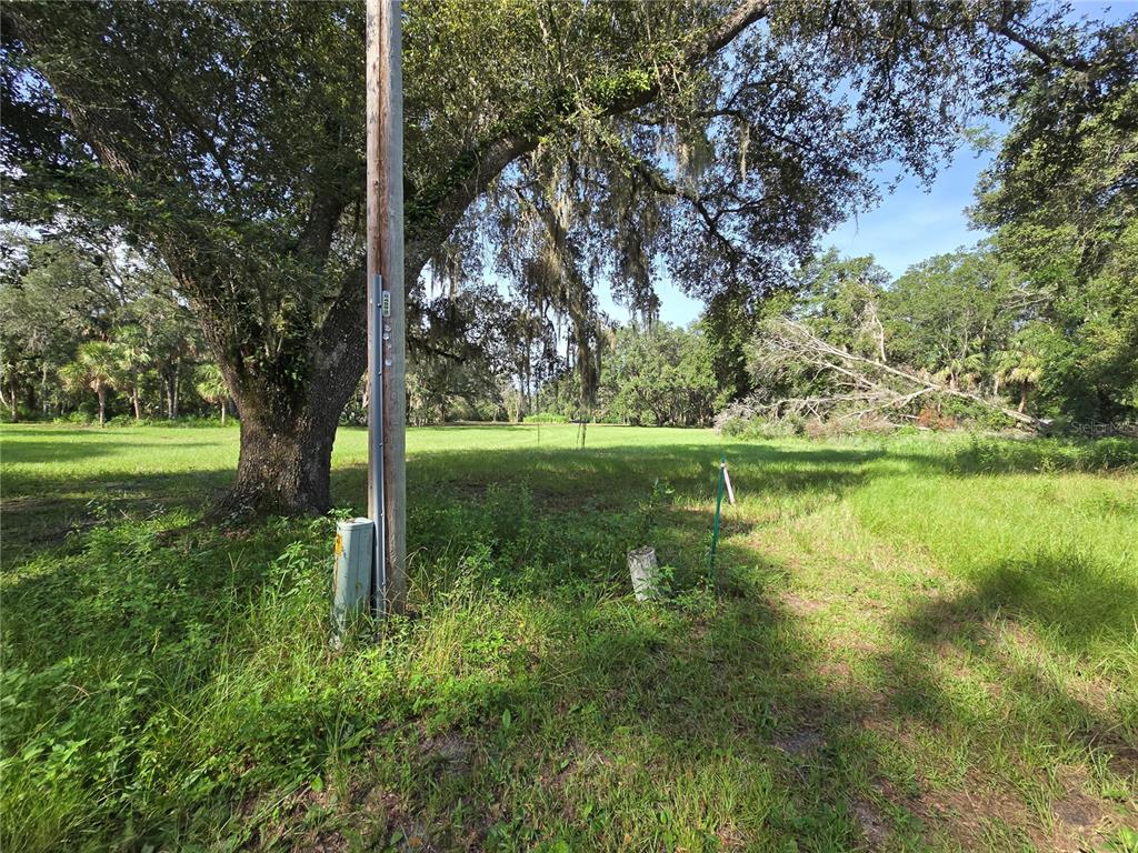 Crystal Lane Umatilla, FL 32784 - Photo 12 of 18 a view of a garden with a tree