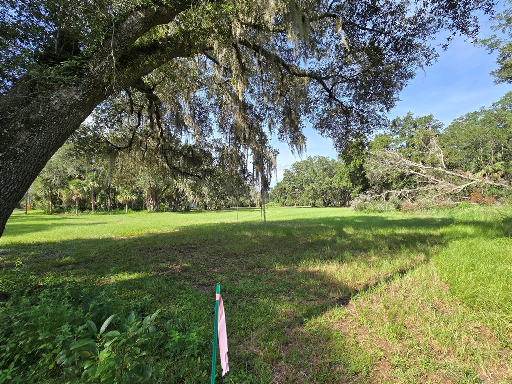 Crystal Lane Umatilla, FL 32784 - Photo 13 of 18 a view of a garden with an trees