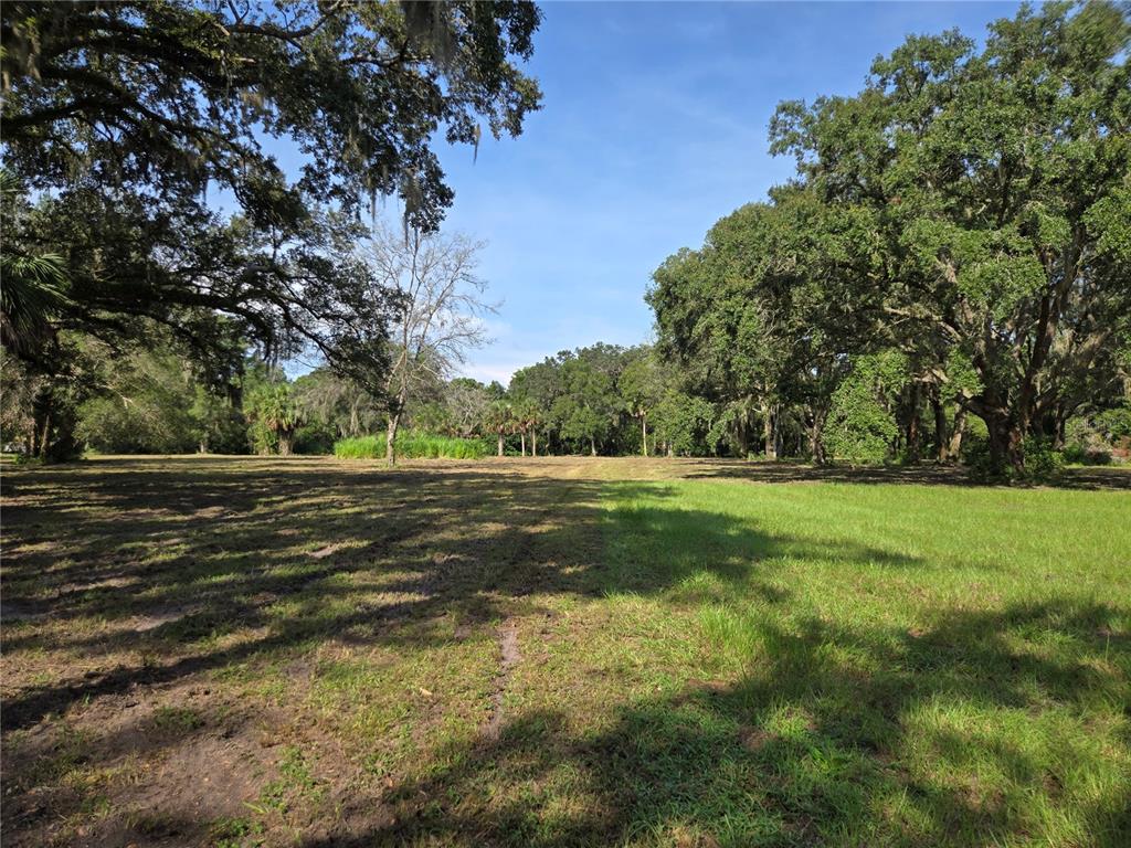 Crystal Lane Umatilla, FL 32784 - Photo 16 of 18 a view of green field