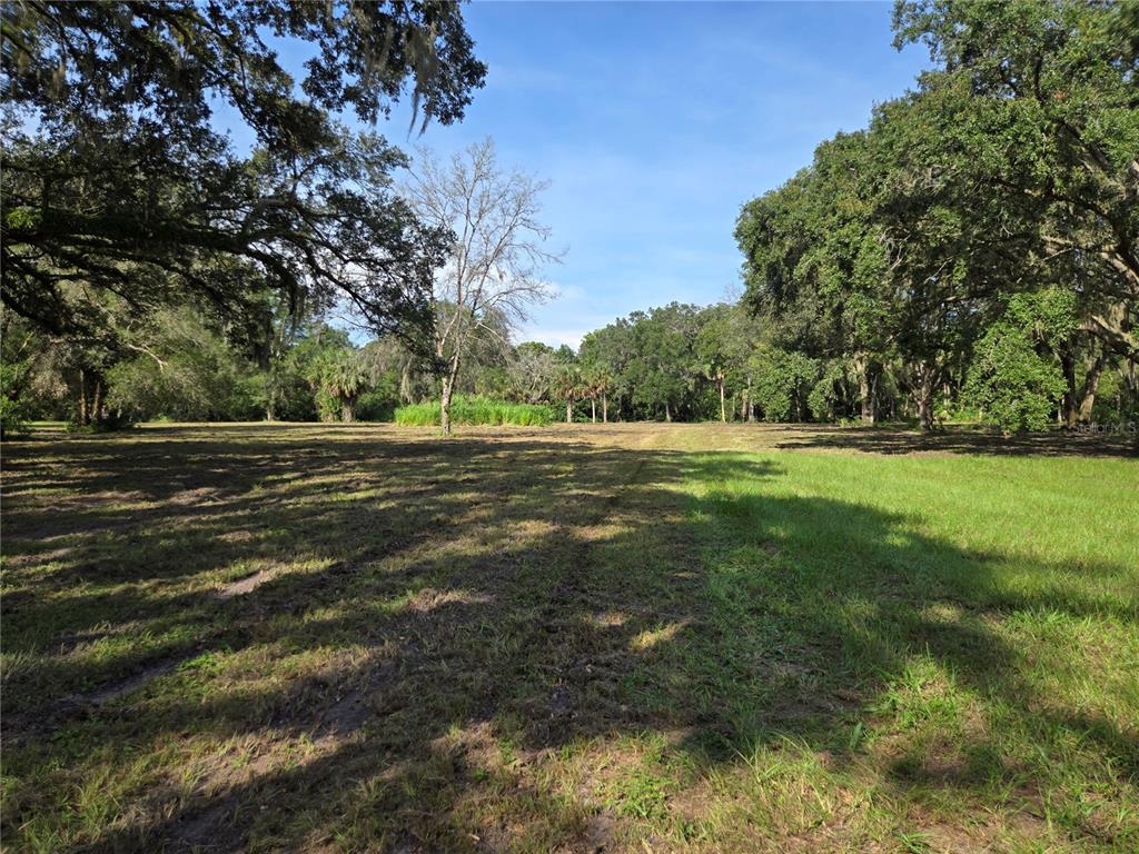 Crystal Lane Umatilla, FL 32784 - Photo 17 of 18 a view of a grassy field with trees
