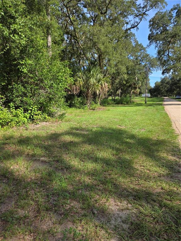 Crystal Lane Umatilla, FL 32784 - Photo 18 of 18 a view of a field with trees