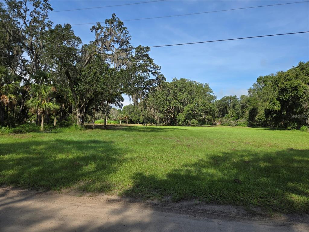 Crystal Lane Umatilla, FL 32784 - Photo 2 of 18 a view of yard with green space