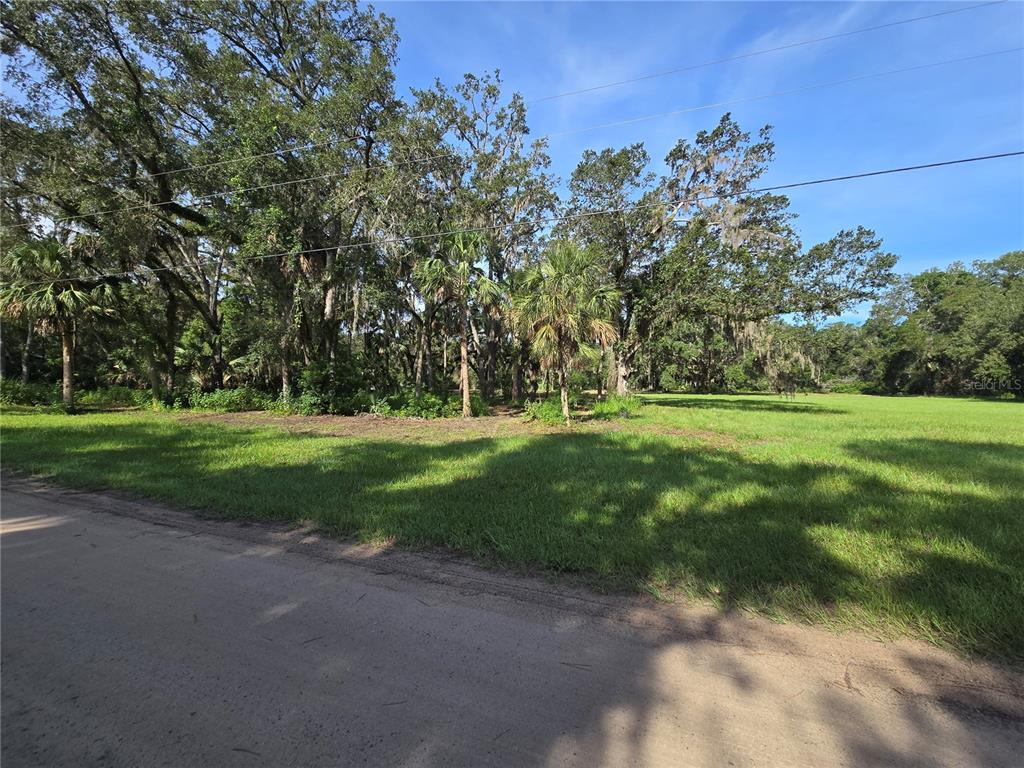 Crystal Lane Umatilla, FL 32784 - Photo 3 of 18 a view of a park