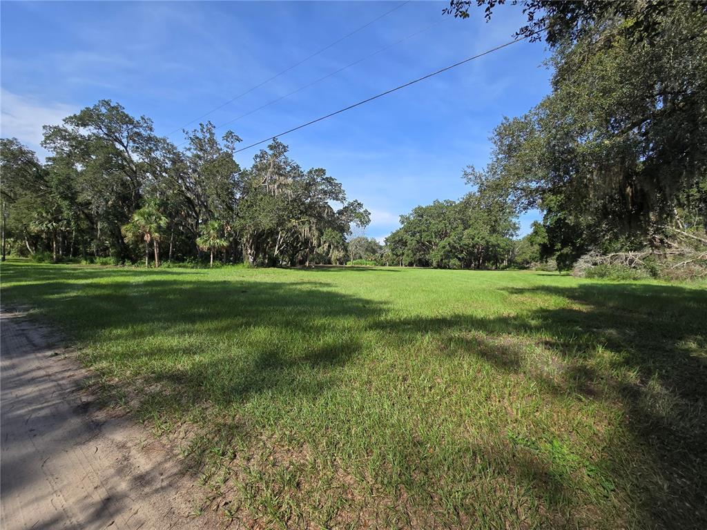 Crystal Lane Umatilla, FL 32784 - Photo 4 of 18 a view of a grassy field with trees