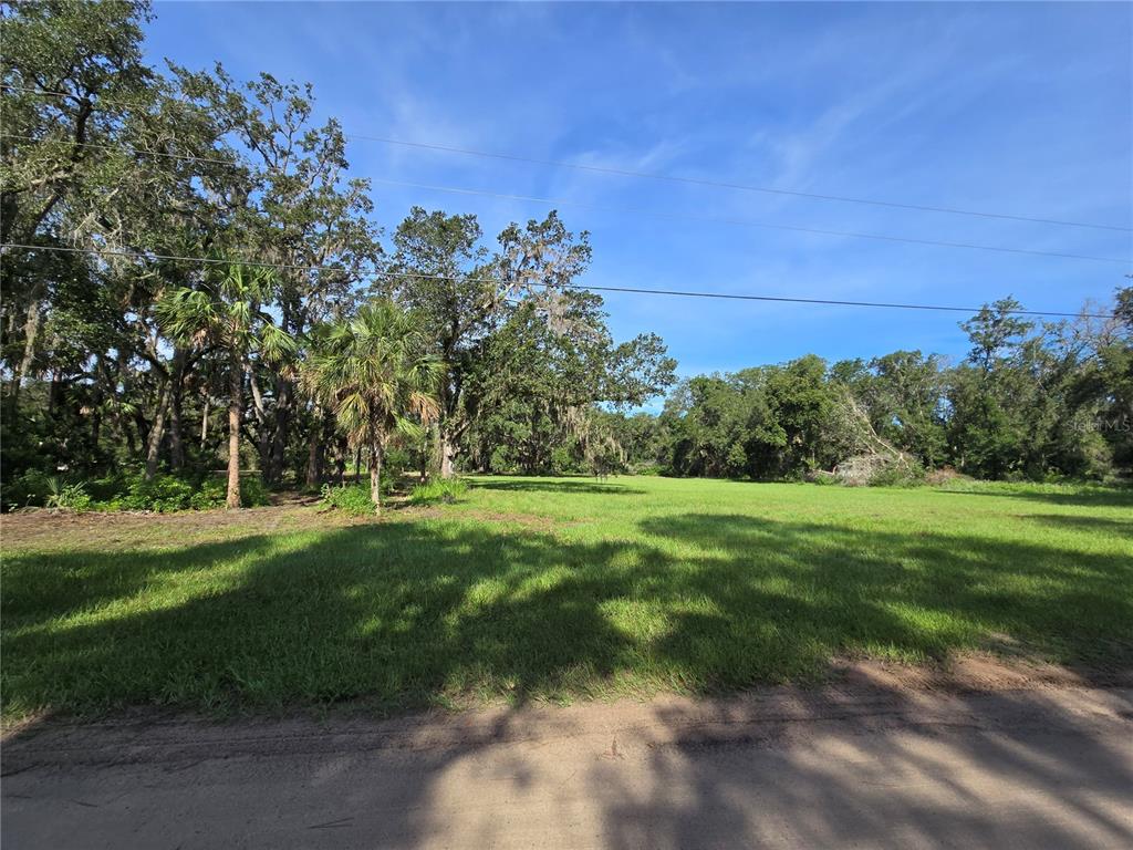 Crystal Lane Umatilla, FL 32784 - Photo 5 of 18 a view of grassy field with trees