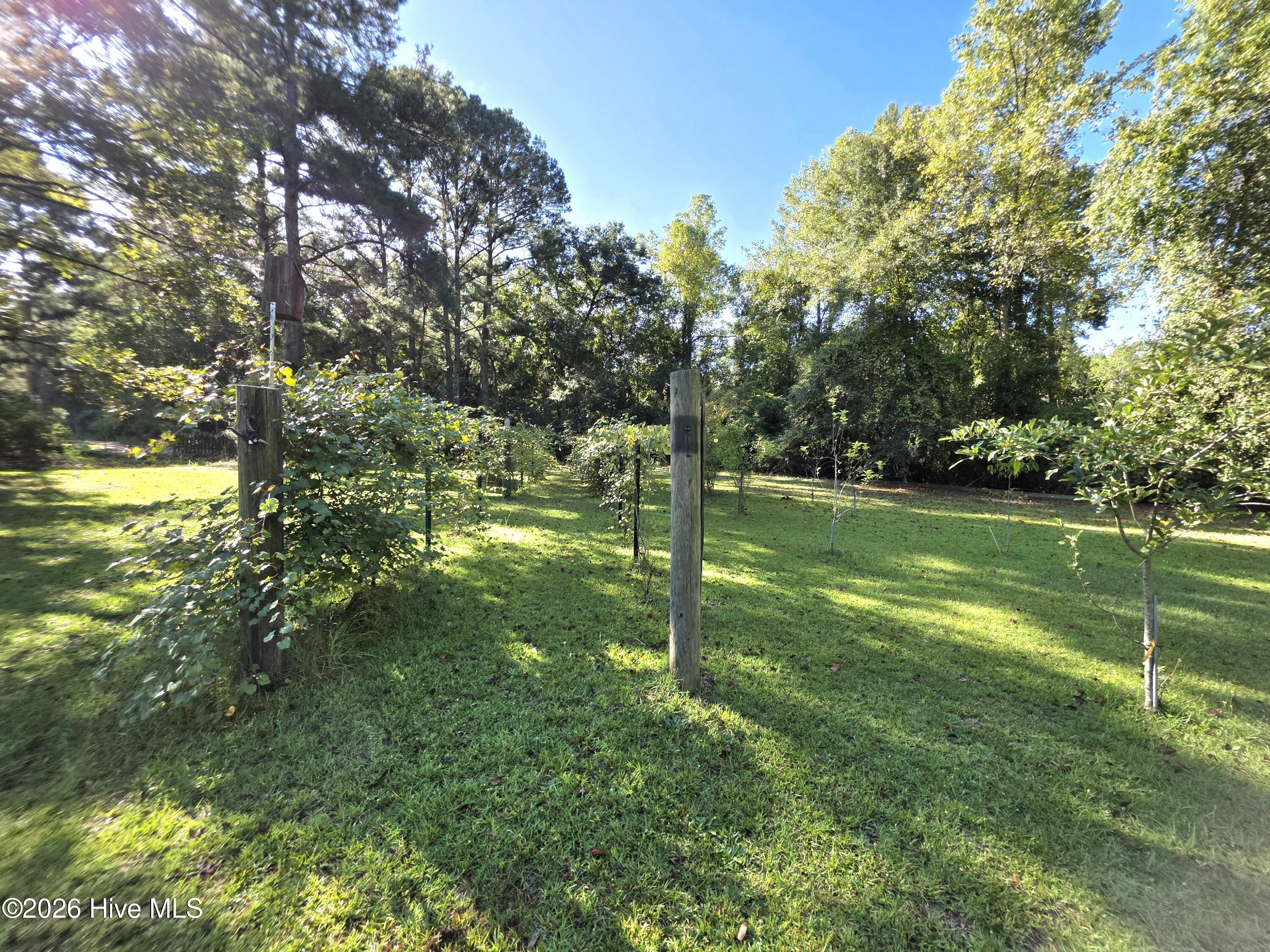 170 South River Road Autryville, NC 28318 - Photo 53 of 74 20260916_094906