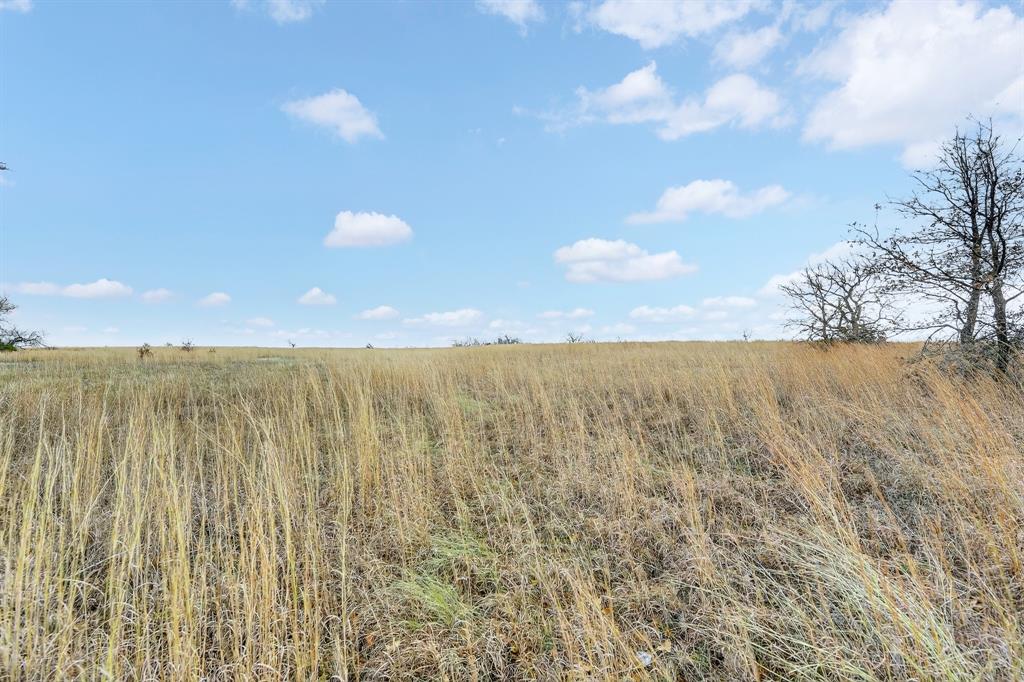 2040 Mustang Ridge Perrin, TX 76486 - Photo 18 of 30