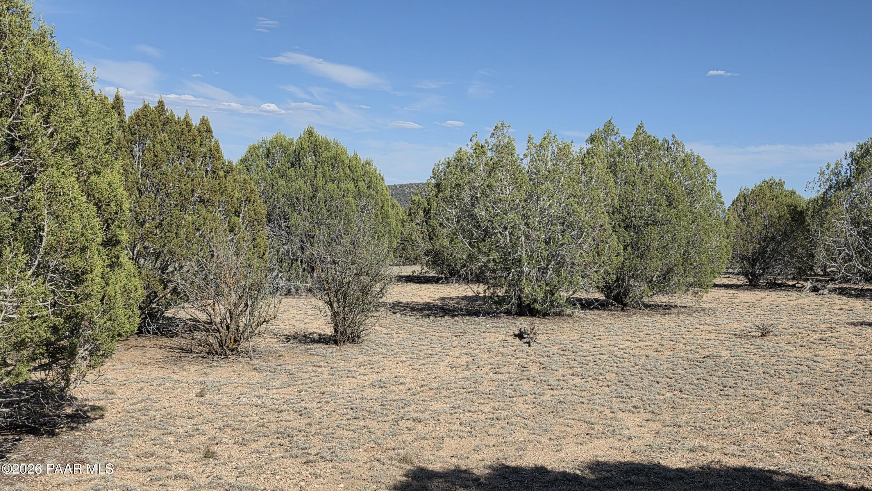 0 Harris Valley Ranch Road Seligman, AZ 86337 - Photo 45 of 53 20260522_162519